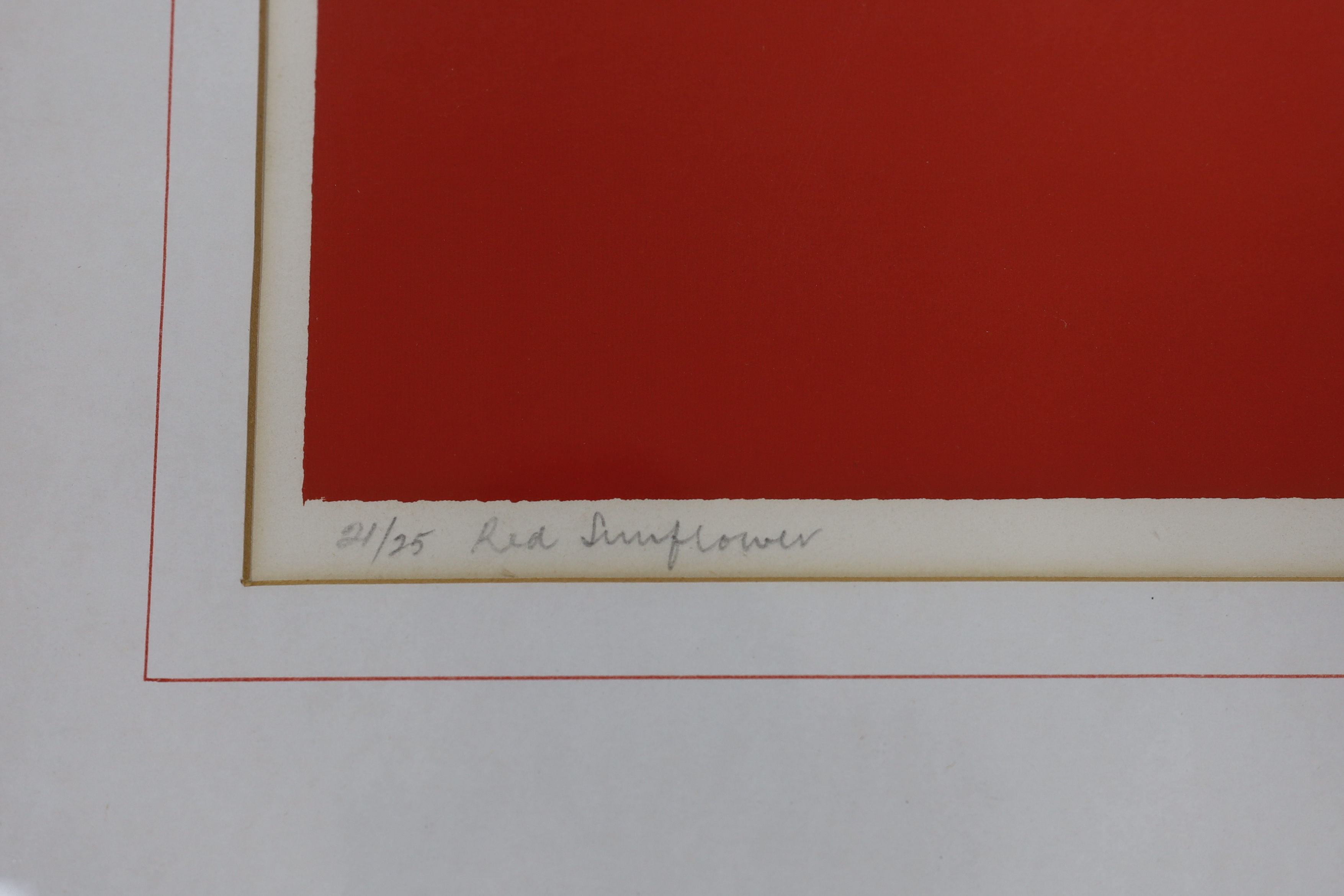 Ronald King (b.1932), colour screenprint, 'Red Sunflower', signed in pencil, limited edition 21/25, 36 x 50cm